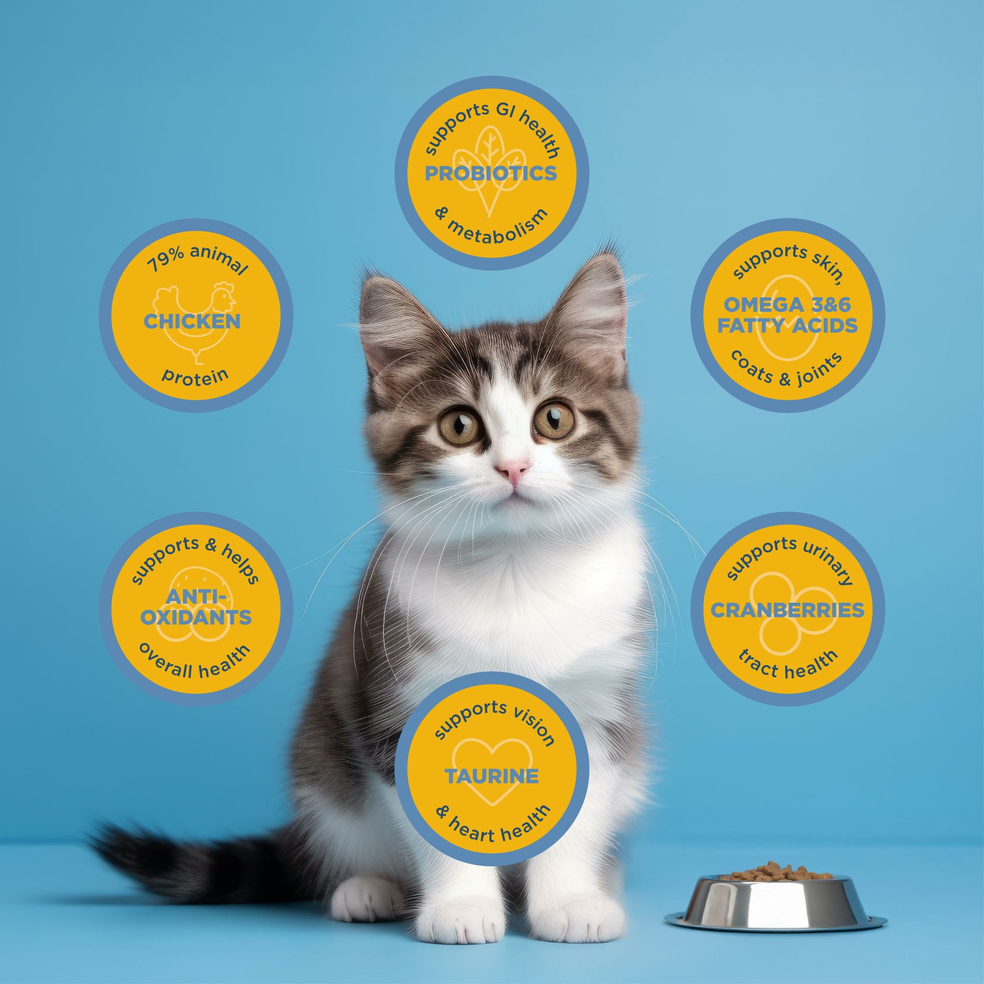 Blackwood Kitten Formula Chicken Meal & Brown Rice Recipe Dry Cat Food, 13.2 lb. Bag