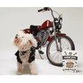 thumbnail image 4 of The Dog Bodega Bussin' Bites Beef Liver Freeze Dried Treats for Dogs & Cats, 4 of 6