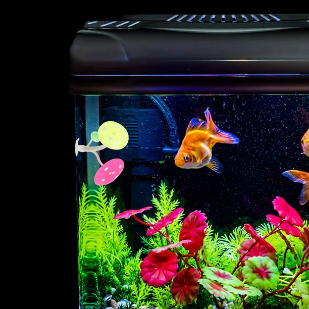 Houderco Hámster De Seta Para Acuario Con Ventosa En Silicona Para Betta Multicolor