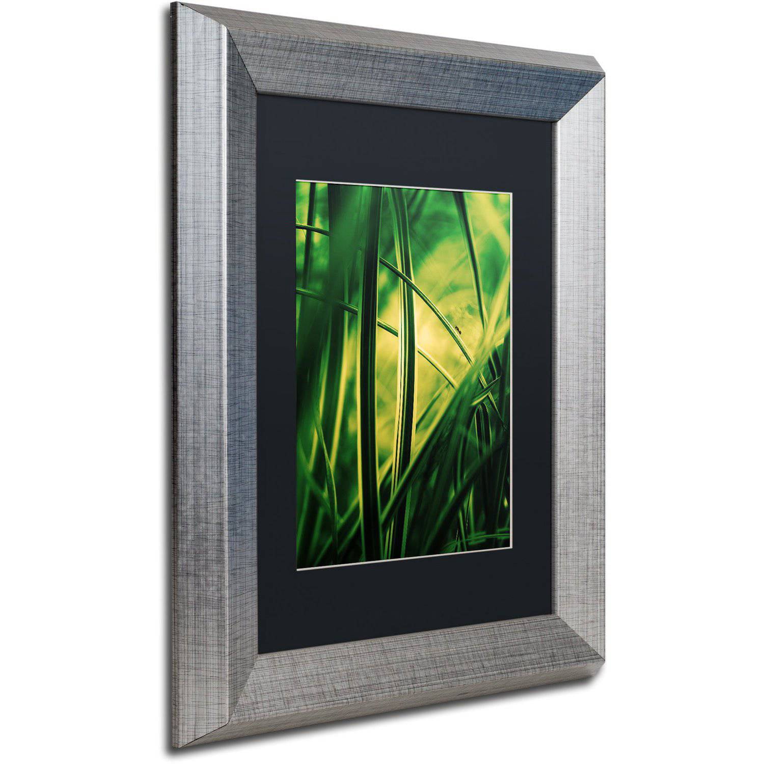 Trademark Fine Art "Miniature" Canvas Art by Philippe Sainte-Laudy Black Matte, Silver Frame