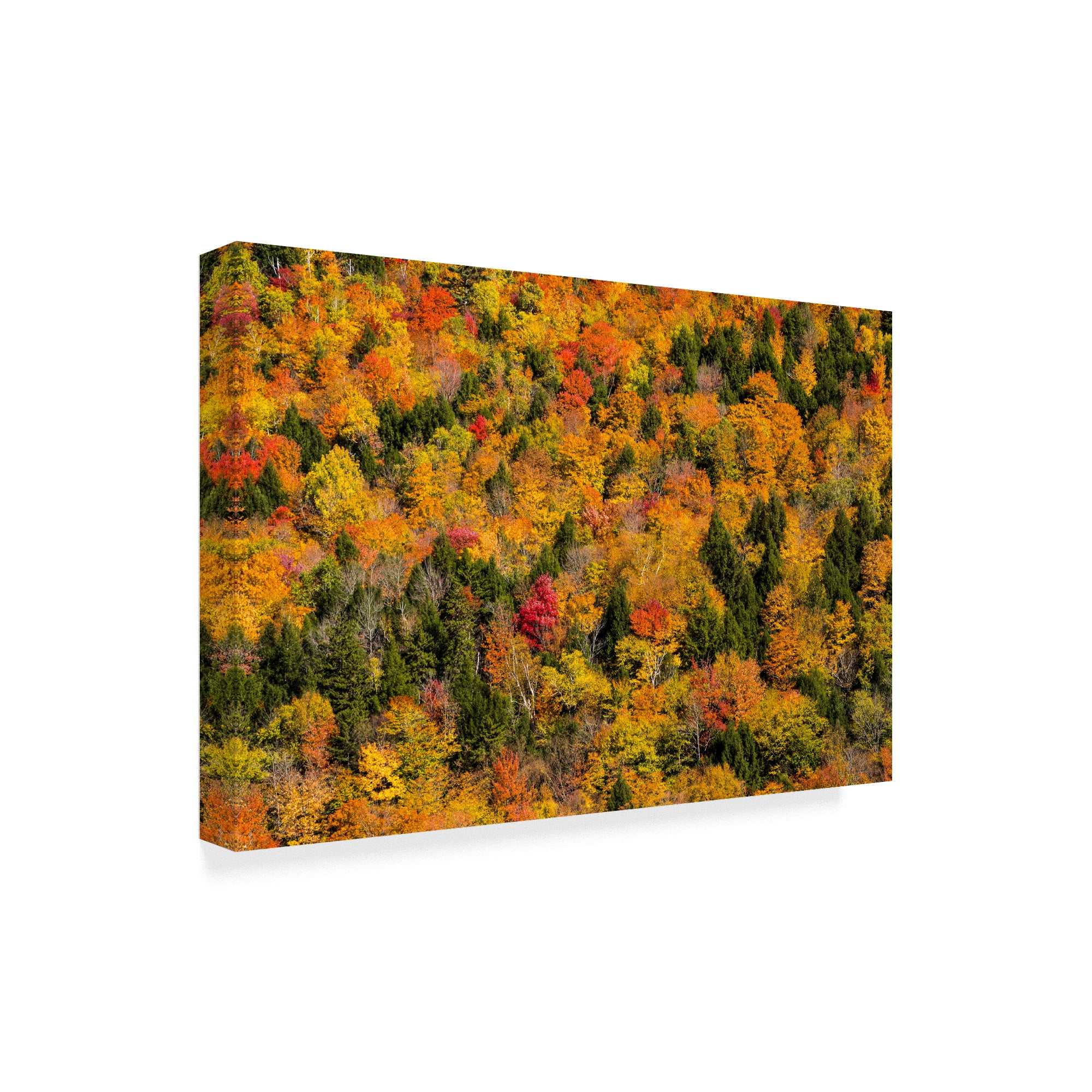 Trademark Fine Art 'Vermonts Glory' Canvas Art by Brenda Petrella Photography Llc