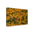 thumbnail image 2 of Trademark Fine Art 'Vermonts Glory' Canvas Art by Brenda Petrella Photography Llc, 2 of 3