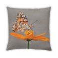thumbnail image 2 of Ahgly Company Coussin d'Intérieur Insectes Papillon, 18 Pouces par 18 Pouces, 2 of 6