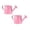 B 2Pack, variant on 2Pcs Deal Countdown! Galvanized Shower Bucket Tinplate Watering Kettle Small Flower Pot Flower Pot Watering Cans Practical Home Decor Happy 2026!