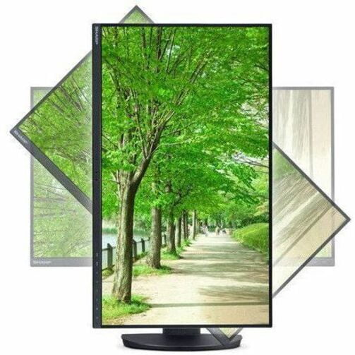Sharp MultiSync DD-EA242W 24" Class WUXGA LED Monitor - 16:10 - Black - 24" Viewable - In-plane Switching (IPS) Technology - LED Backlight - 1920 x 1200 - 16.7 Million Colors - 300 Nit - 6 ms - 62 ...