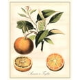 thumbnail image 3 of Vision Studio 15x18 Black Modern Framed Museum Art Print Titled - Tuscan Fruits III, 3 of 5