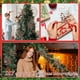 thumbnail image 4 of Esquejes Navideños de Agujas Blancas de 25 Cm, Ramas de Plástico Rojo | Aspecto Escarchado | Tallos Flexibles para Decoración Navideña, Coronas, Centros de Mesa y Arreglos Florales de Mesa., 4 of 6