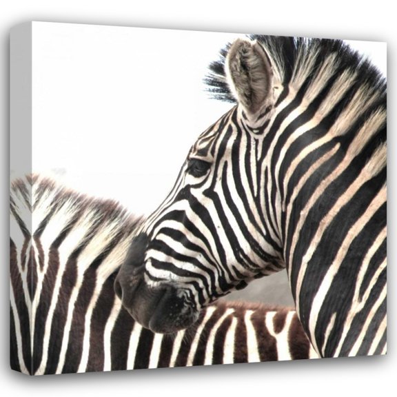 Dana Underdahl 20x20 Gallery Wrapped Canvas Wall Art Titled - Sarari Zebra V