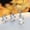 #1, variant on Women Fashion 925 Silver Tortoise Earrings and Necklace Set Fine Jewelry Gifts-#2