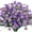 Purple, variant on Morttic 4 Bundles Artificial Daisies Flowers, 4 Bundles Fake Mums Outdoor Plants with Fake Flowers, UV Resistant No Fade Plastic Faux Daisy Flower Plants Shrubs for Garden Home Decoration（Fuchsia）