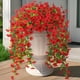 thumbnail image 1 of Plantas colgantes artificiales Hrobek, falsas flores de crisantemos, 2 unidades, 1 of 7