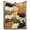 A, variant on Cat Pattern Throw Blanket, 70x100cm Cozy Polyester Lap Wrap for Couch, Bed and Travel