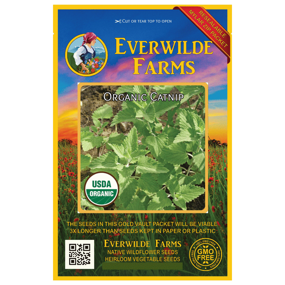 Everwilde Farms 1000 Organic Catnip Herb Seeds Gold Vault Jumbo