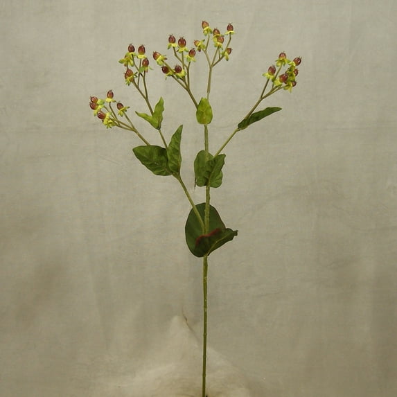 Burgundy Hypericum Berry Spray 25.5" Tall With 5 Shoots Of Berries