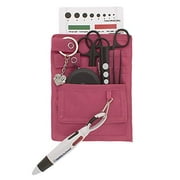 4 Pockets Nurse Organizer Pouch w/Tactical Black Tools - Medical Instrument Organizer with Lister Scissors, LED Penlight, Eye Chart, Chart Pen + More - AsaTechmed (Light Pink)