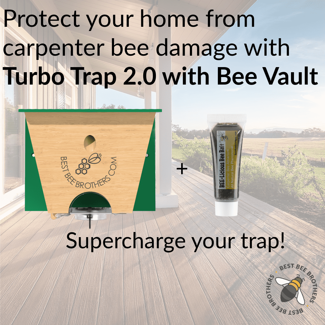 Best Bee Brothers Carpenter Bee Trap 2.0 with Bee Vault, Turbo