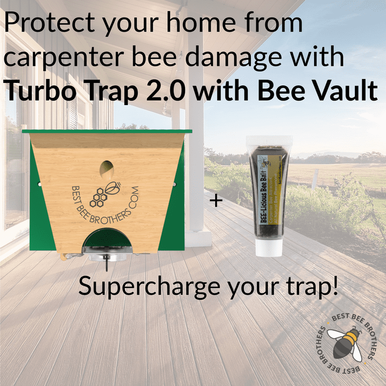 Best Bee Brothers Carpenter Bee Trap 2.0 with Bee Vault, Turbo