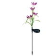 thumbnail image 3 of Lámpara de jardín forma de flor Lámpara de césped al aire libre colorida luz solar decorativa LED, púrpura 2pcs sidaley HA002386-02, 3 of 7