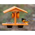 thumbnail image 5 of Amish Toy Double-Cup Oriole Bird Feeder with Pegs for Orange Halves, Turf Green/Cedar, 5 of 8