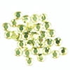 Jonquil