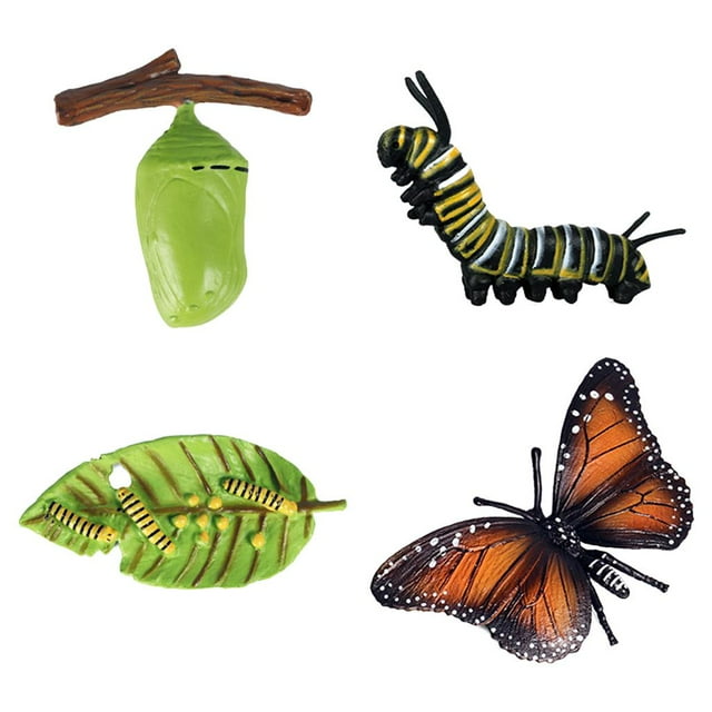 Juguetes de crecimiento de insectos para niños Zulema Imaginación A