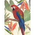 thumbnail image 2 of Warren, Annie 25x32 Black Ornate Wood Framed with Double Matting Museum Art Print Titled - Tropical Parrot Composition II, 2 of 4