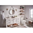 thumbnail image 4 of Moen YB6403ORB Belfield Double Robe Hook, Oil Rubbed Bronze, 4 of 4