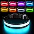 thumbnail image 1 of wonima02 Light up Dog Collar Lights for Night Walking - LED Dog Collar Light Rechargeable Color Changing, Glow in The Dark Dog Collars Waterproof Glowing Dog Collars for Large Small Medium Dogs, 1 of 1