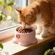 thumbnail image 4 of Los Cuencos de Comida para Gatos 18x12.5x10cm Plástico Beige Pueden Alimentar a Gatos para Gatos de Alimentación Diaria, 4 of 6