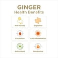 thumbnail image 2 of The Ginger People GIN GINS Super Strength Ginger Hard Chew - 1lb - Pack of 1, 2 of 6