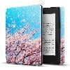 Cherry Blossom