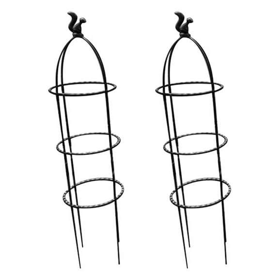 Climbing Plant Obelisk Trellis, Garden Trellis, Climbing Vine Plant Stand, Flower Stand, Plant Tower,2pcs(C)