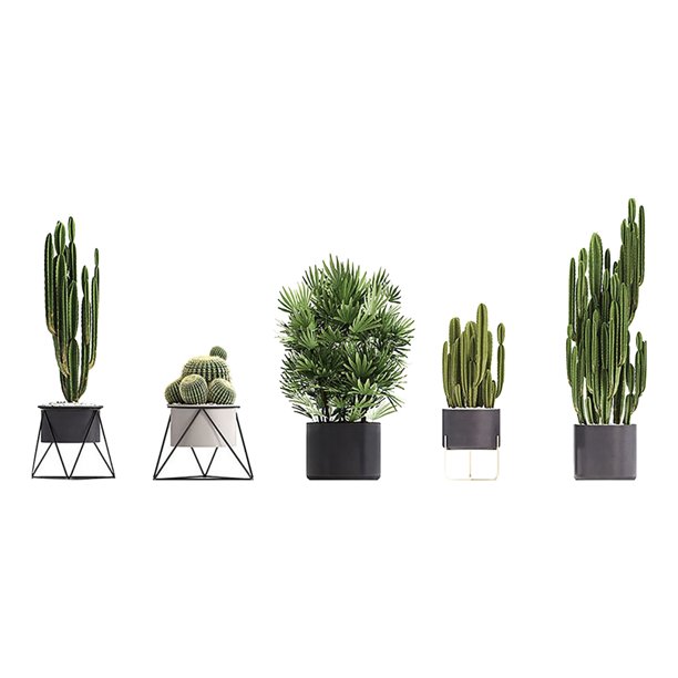 Decorations Decor Wall Decor For Living Room