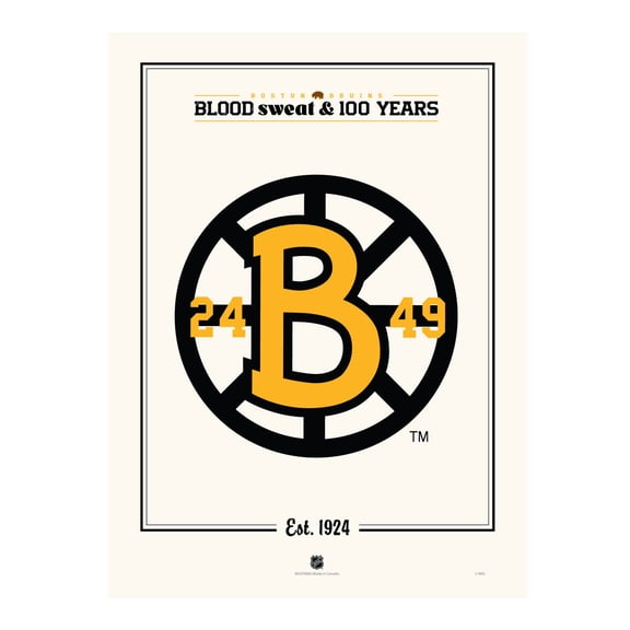 Boston Bruins Centennial 12" x 16" Spoke "B" Print