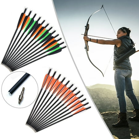 Crossbow Carbon Bolts 20 Arrows with Points and 2 Vanes 12/Pack For Archery Hunting Hunter Amusement Park