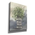 thumbnail image 2 of Epic Graffiti 'Spider Plant in Pottery' by Julie Norkus, Giclee Canvas Wall Art, 12"x16", 2 of 8