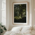 thumbnail image 5 of Bay Circuit Forest 02 - Marlborough Massachusetts Photography Forest Nature Landscape Scenic Botanical Autumn Rural Oak Framed Wall Art Print 11 x 14 inches, 5 of 12
