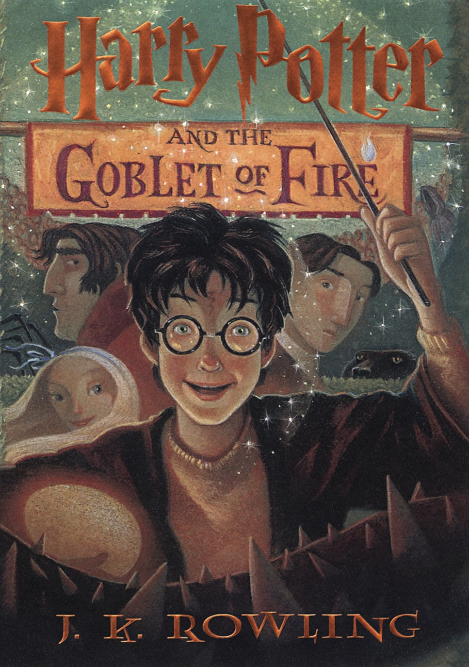 harry potter and the of fire