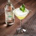 thumbnail image 3 of Pack de 2 Tequila Casa Amigos Blanco 750 ml, 3 of 3