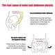 thumbnail image 4 of Compressing Abs Sculpting Panty Women Tummy Control Slimmer Body Shaper Slimming High Waist Pants, 4 of 5