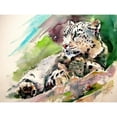 thumbnail image 3 of Kovacs, Anna Brigite 24x19 Black Modern Framed Museum Art Print Titled - Snow Leopard II, 3 of 5