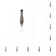 thumbnail image 3 of Advancent Pluma de pintura de diamantes de imitación estilo de bolos herramienta de perforación multifuncional de plástico accesorios de bordado negro 10piezas Advancent CBP374193, 3 of 4
