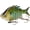 Blue/Gold Pumpkinseed, variant on Bassdash SwimPanfish 0.34oz Hard Swimbaits Multi Jointed Topwater Trout Bass Fishing Crank Lure for Freshwater and Saltwater