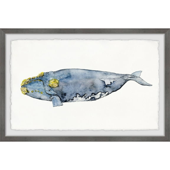 Marmont Hill Mossed Whale By Rachel Byler Framed Wall Art, 12.00" x 1.50"