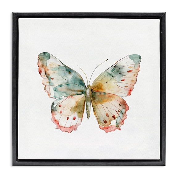 Stupell Industries Traditional Muted Watercolor Butterfly Black Floating Frame Canvas Art, 18 x 18, by Kim Allen