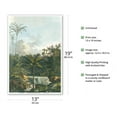 thumbnail image 2 of Astrocaryum Jauari Palm Tree - Barra de Rio Negro Brazil - Vintage Botanical Illustration by Carl Friedrich Philipp von Martius c.1820s - Master Art Print (Unframed) 13in x 19in, 2 of 4