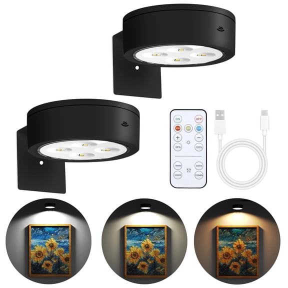Alficedo 2 Pack Picture Lights for Wall, Rechargeable Painting Lights 3 color temperatures, Dimmable Timer, Picture Lights for Displaying Art Works/Paintings/Photos/Wall Decorations