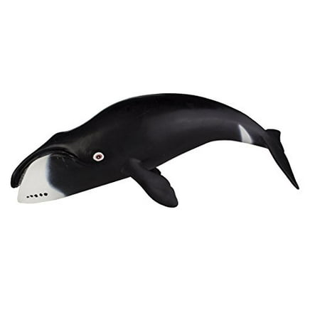 Safari S5529 Baleine Boreale Walmart Canada