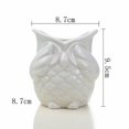 thumbnail image 2 of CNKOO Table Top Balcony Owl Succulent Flower Pot, 2 of 5