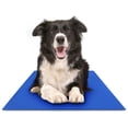 thumbnail image 1 of Alfombrilla de gel Cooling Pad The Green Pet Shop Chillz para mascotas, 1 of 6